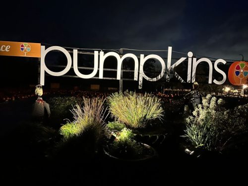 Commercial-outdoor-lights-