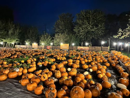 Commercial-outdoor-lights-3