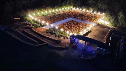 Commercial-outdoor-lights-4